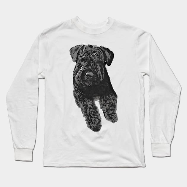 Bouvier Des Flandres Long Sleeve T-Shirt by Claireandrewss